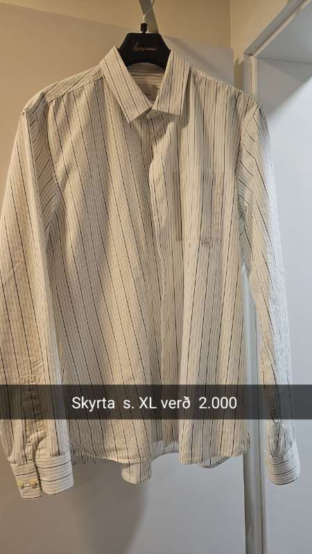 Skyrta tein