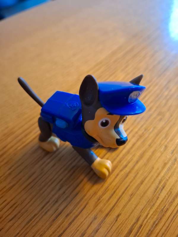 Kappi