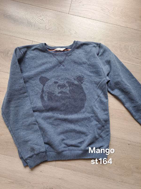 Mango peysa björn