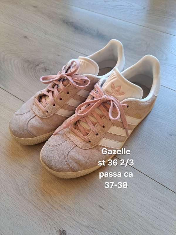 Adidas gazelle bleikir