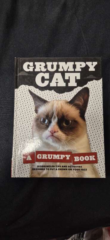 Grumpy Cat bók