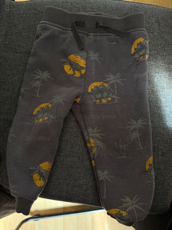 Buxur risaeðlur