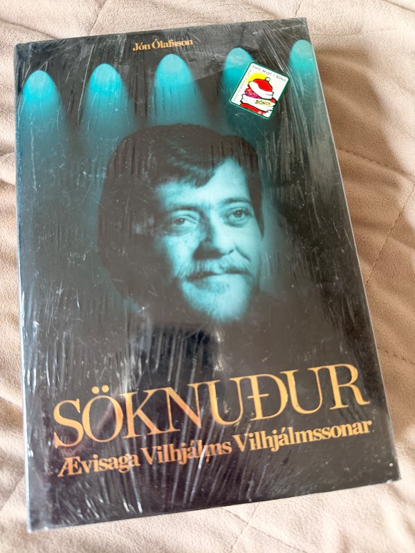 Söknuður - Villi Vill