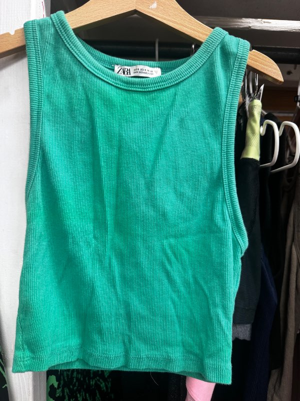 Zara crop top