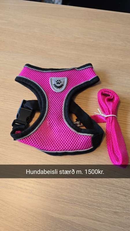 Hundabeisli