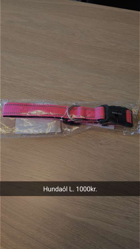 Hundaól
