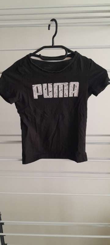 Puma bolur