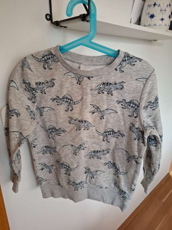 Risaeðlupeysa