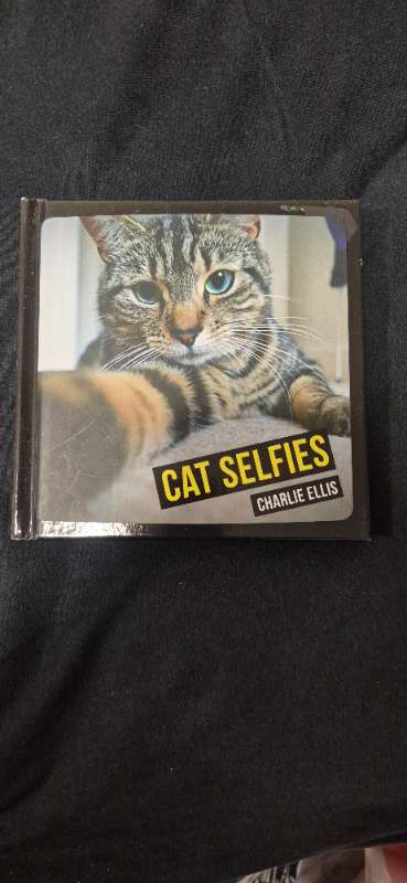 Cat Selfies bók