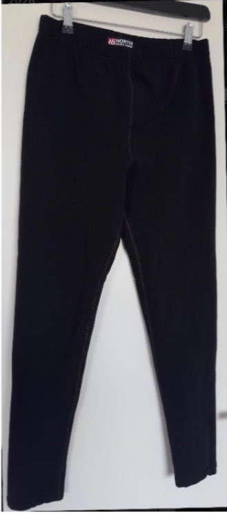 66 North pants