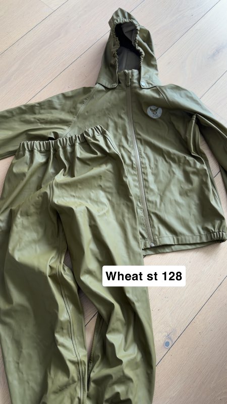 Wheat regngalli