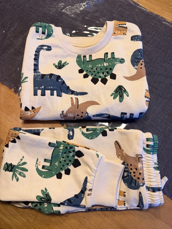 Sett risaeðlur
