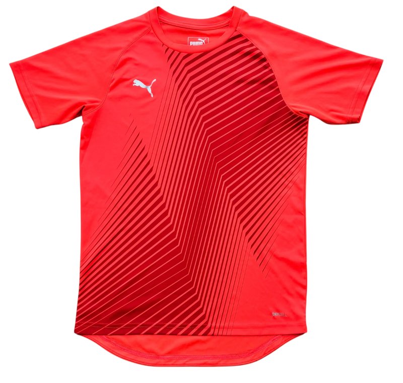 Puma bolur