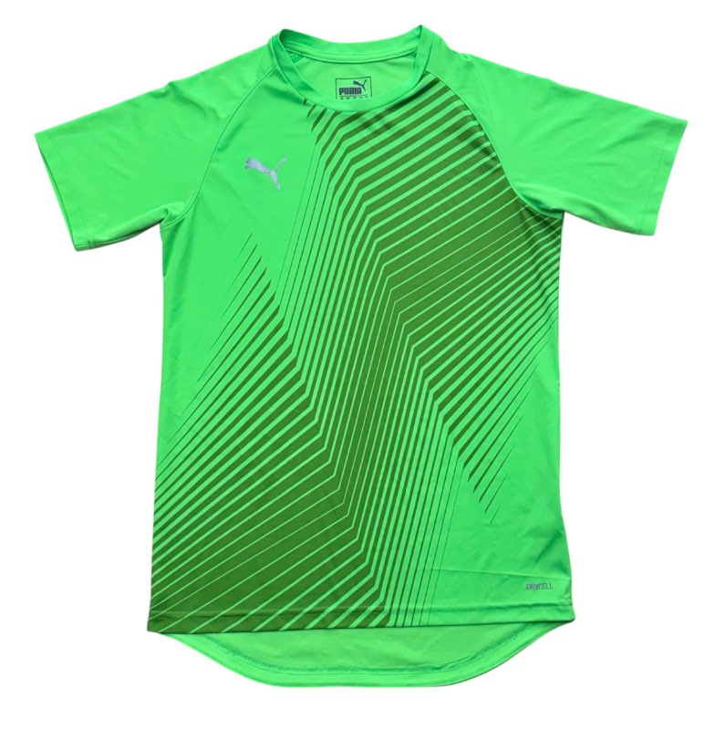 Puma bolur