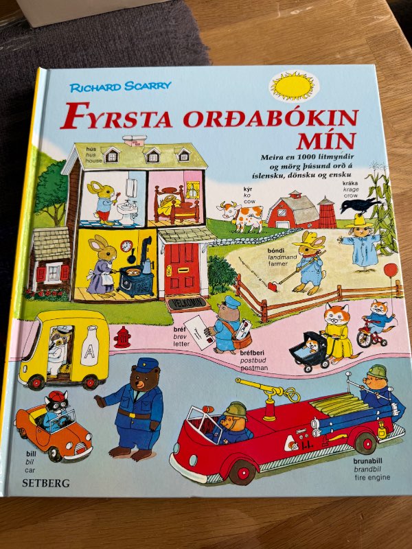Fyrsta orðabókin mín