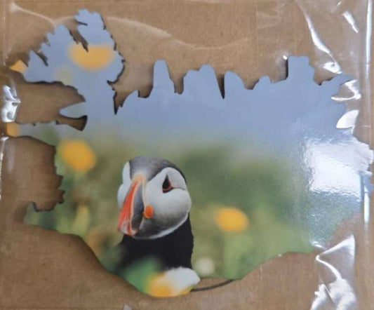 Segull lundi blár