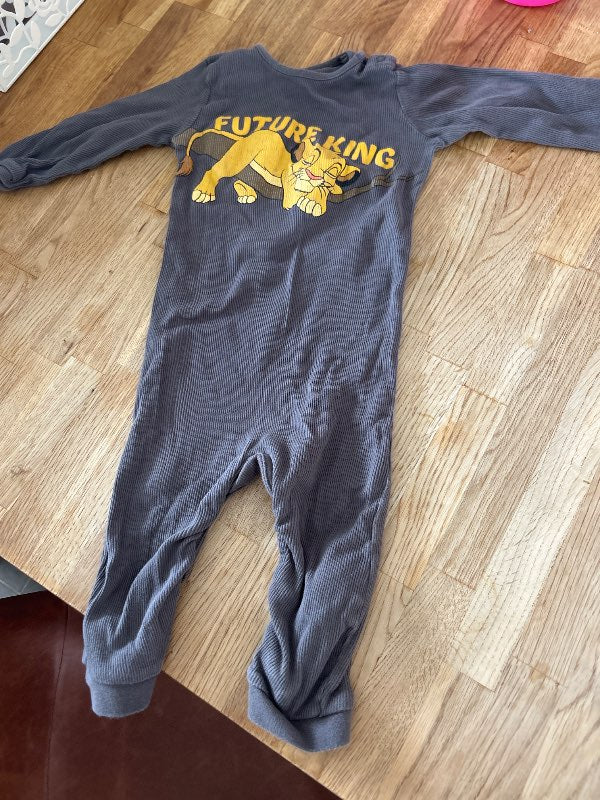 Lion king galli