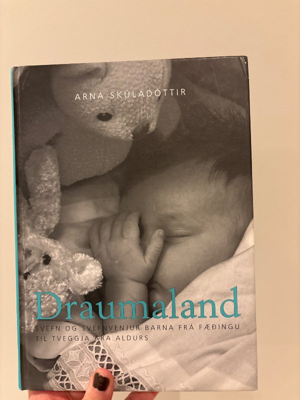 Draumaland bók