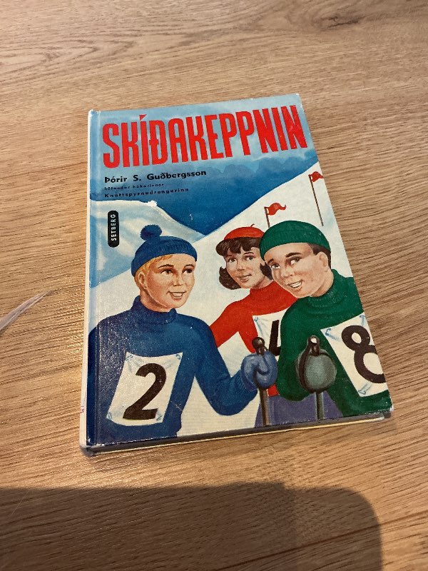 Skíðakeppnin