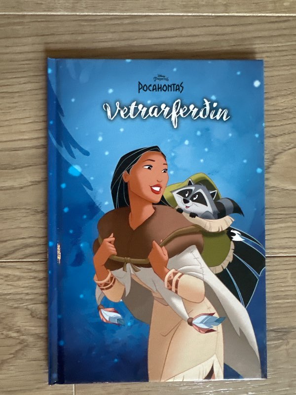 Vetrarferðin disneybók